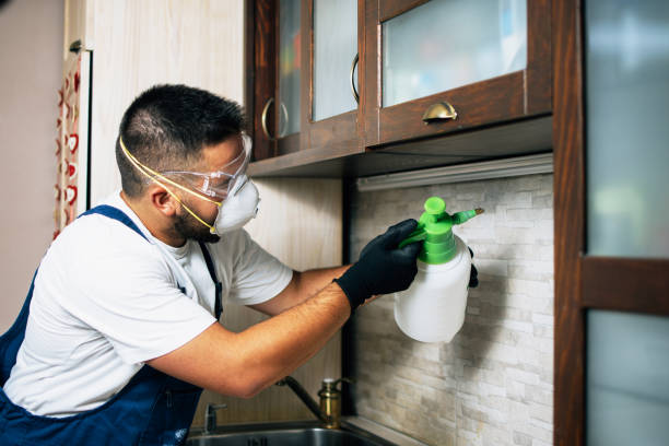 Best Pest Control Treatment  in Dunnellon, FL