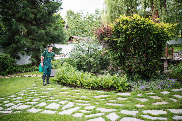 Best Pest Removal Services  in Dunnellon, FL