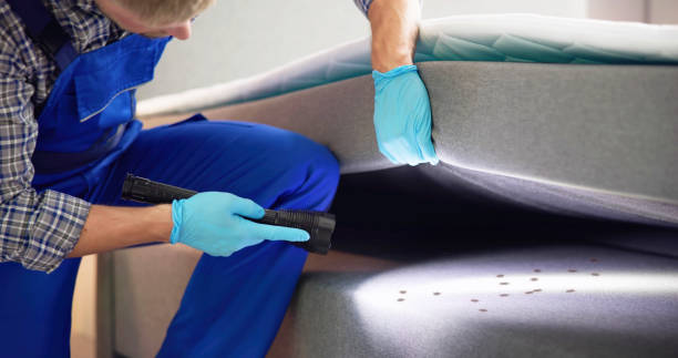 Reliable Dunnellon, FL Pest Control Solutions